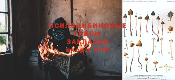 таблы Алексеевка