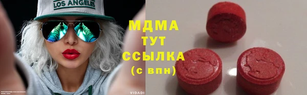 гашик Алексин