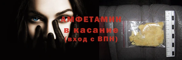 гашик Алексин