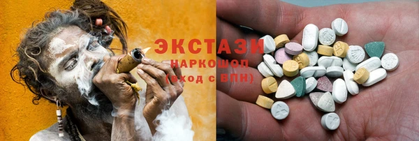 гашик Алексин